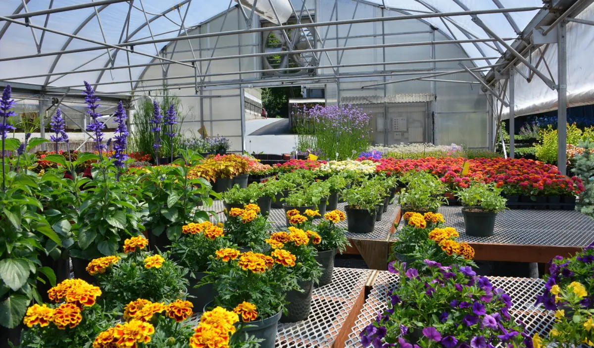 The Butchart Gardens: Greenhouse Tours