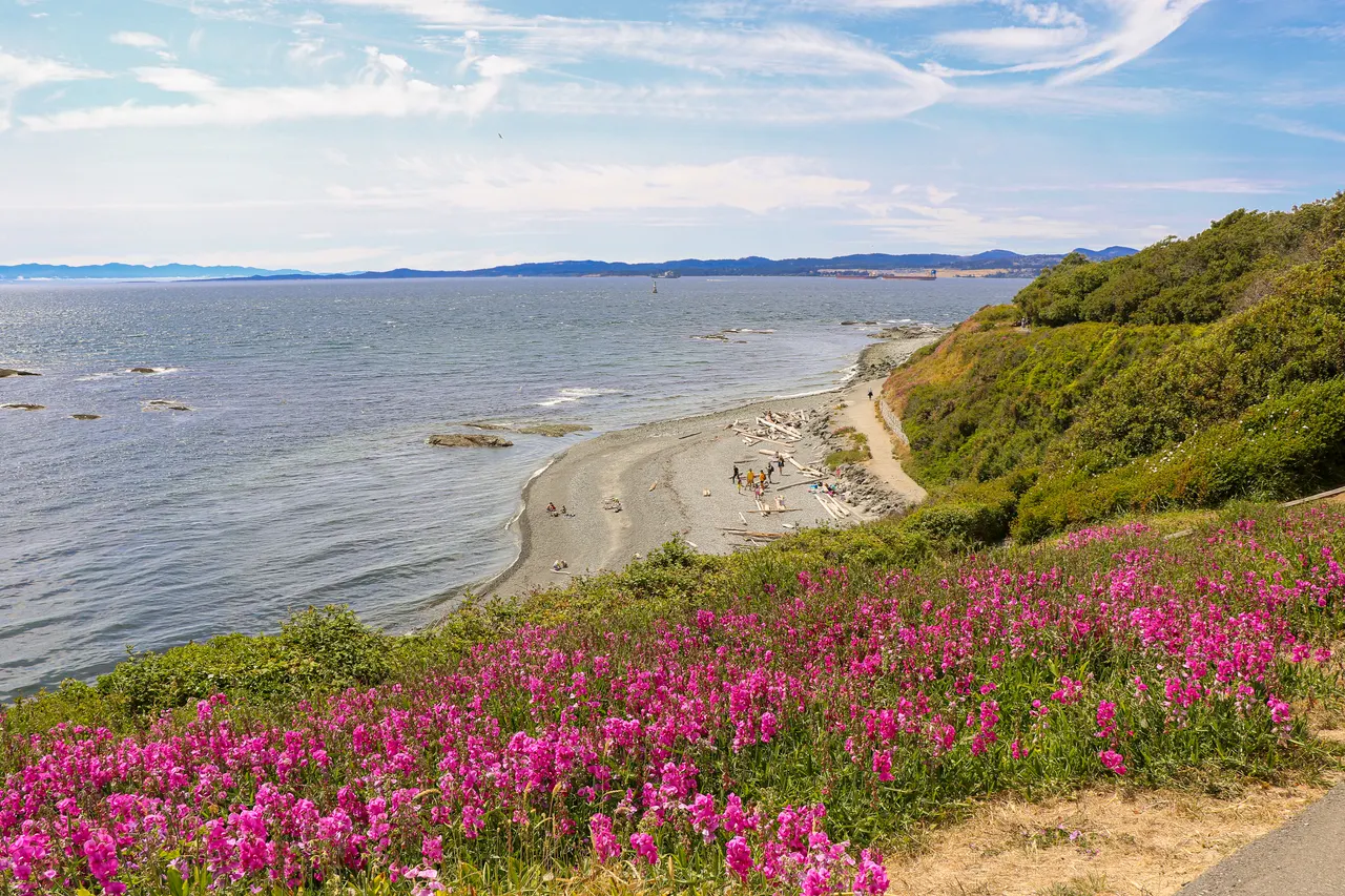 Dallas Road Beach in Victoria, British Columbia.